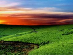 Gəzməli-görməli yerlər-Uqanda