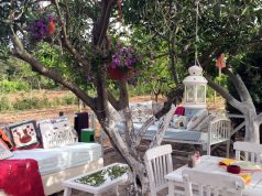 Bozcaada nə yemək olar?