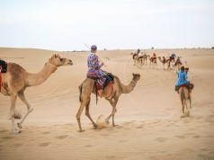 Dubayda yaz istirahəti