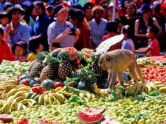 Meymun Süfrəsi Festivalı