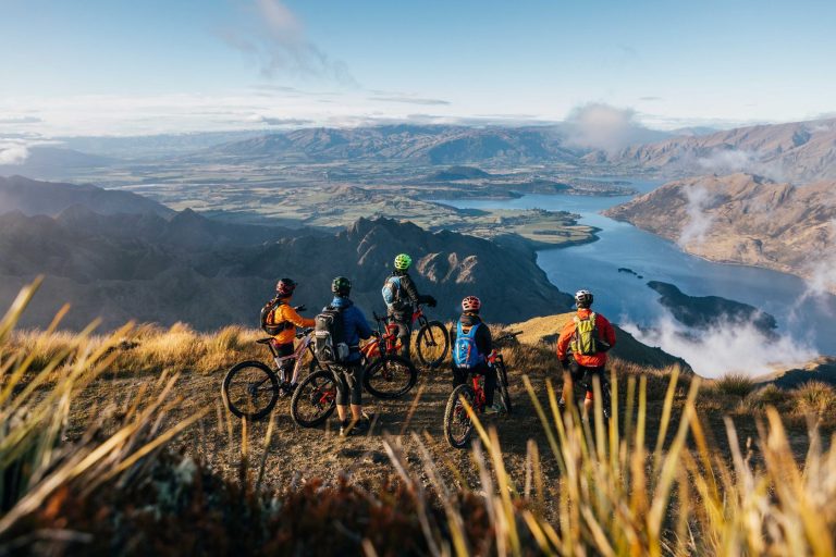 Turizm şirkətinin rəhbəri sabiq polis rəisini aldatdı